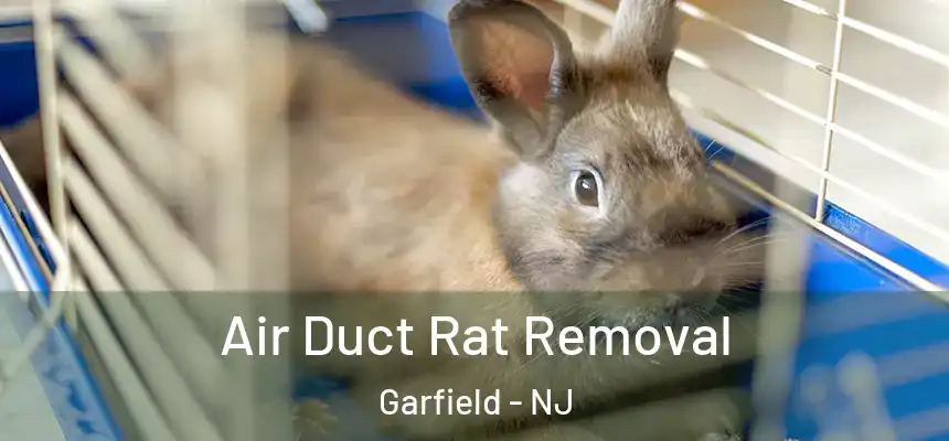 Air Duct Rat Removal Garfield - NJ