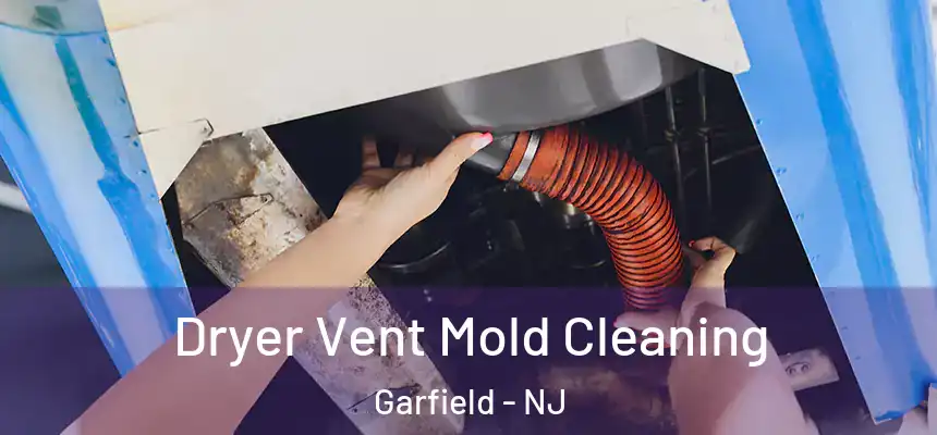Dryer Vent Mold Cleaning Garfield - NJ