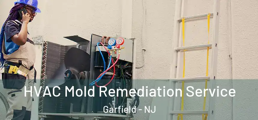  HVAC Mold Remediation Service Garfield - NJ