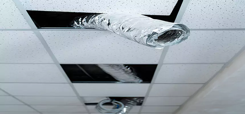 Affordable HVAC Sanitizing After Pest Removal in Garfield