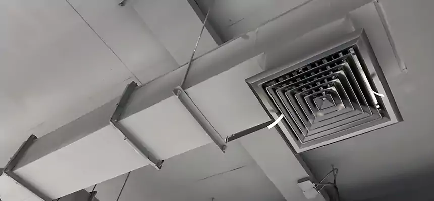 Our Rodent Droppings In Vents Services in Garfield, NJ