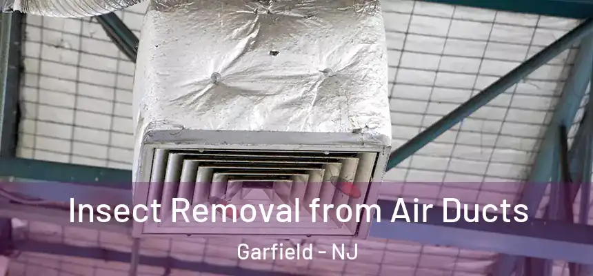 Insect Removal from Air Ducts Garfield - NJ