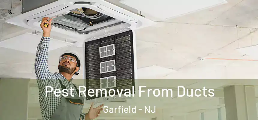  Pest Removal From Ducts Garfield - NJ