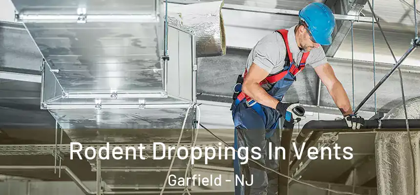 Rodent Droppings In Vents Garfield - NJ