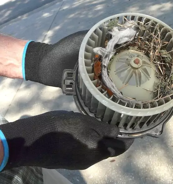 About Air Duct Mice Removal in Garfield, NJ