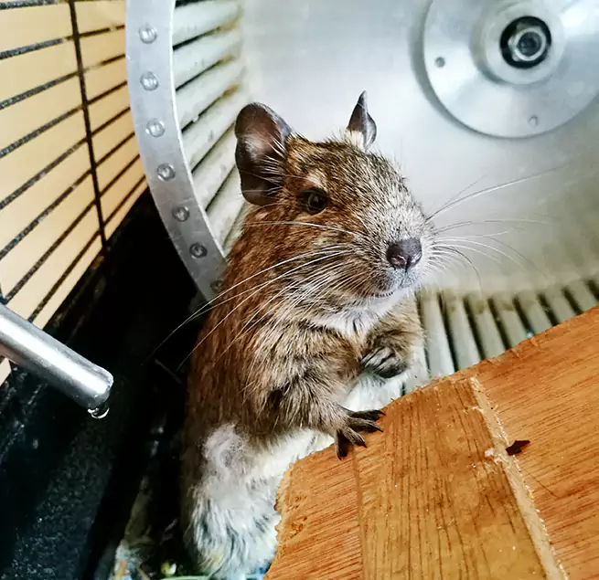 Why Homeowners & Businesses Trust Us Garfield, NJ